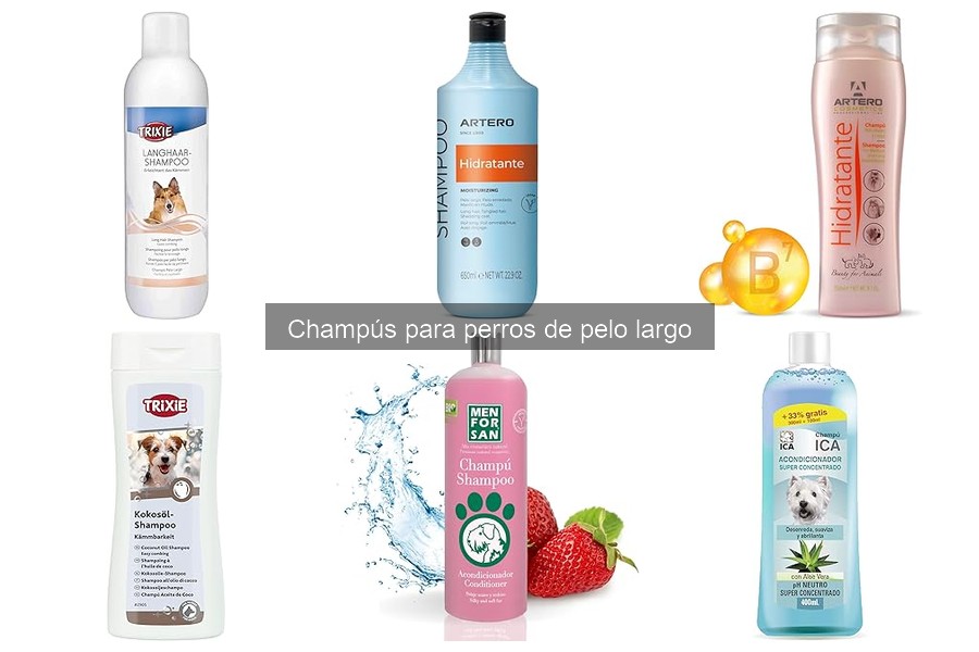 Cómo elegir el champú ideal para perros de pelo largo