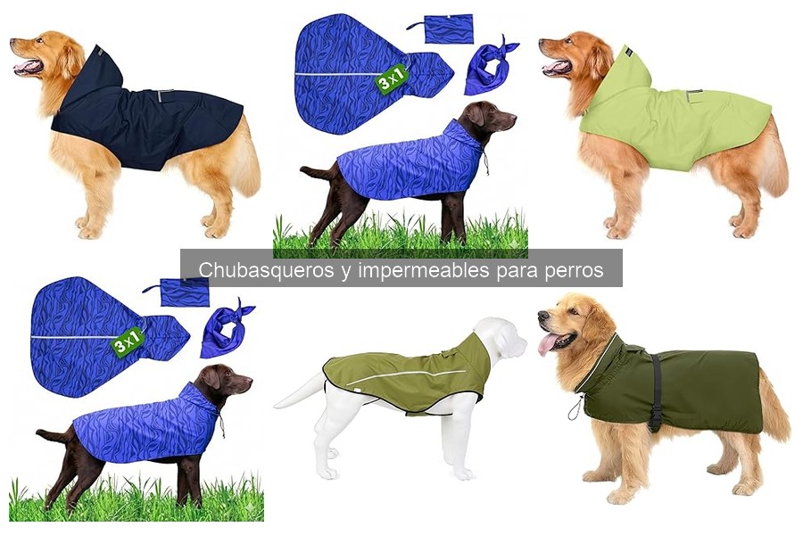 Cómo elegir el chubasquero ideal para tu perro