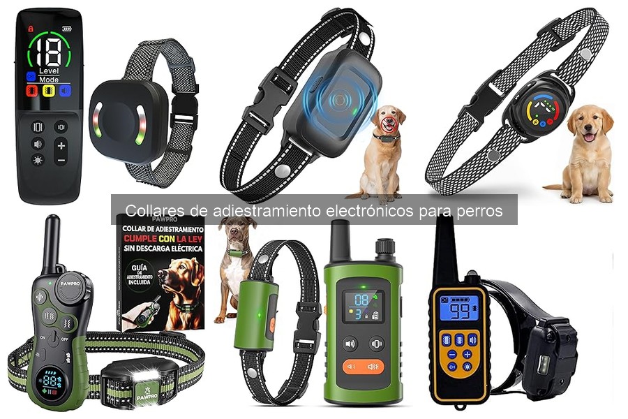 Cómo elegir el collar de adiestramiento electrónico para perros