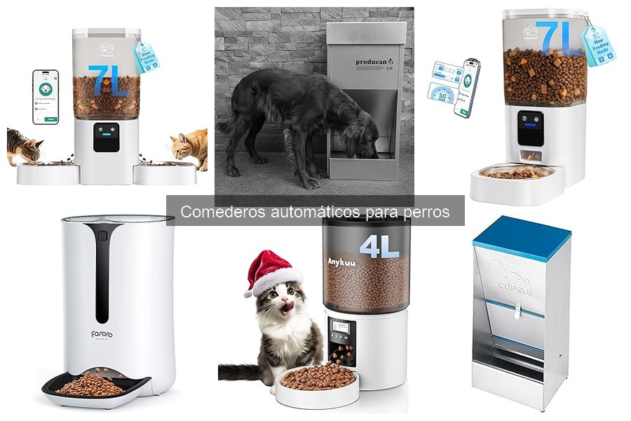 Cómo Elegir el Comedero Automático Ideal para Perros