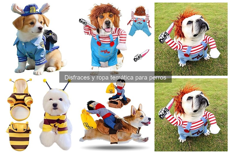 Cómo elegir el disfraz perfecto para tu perro
