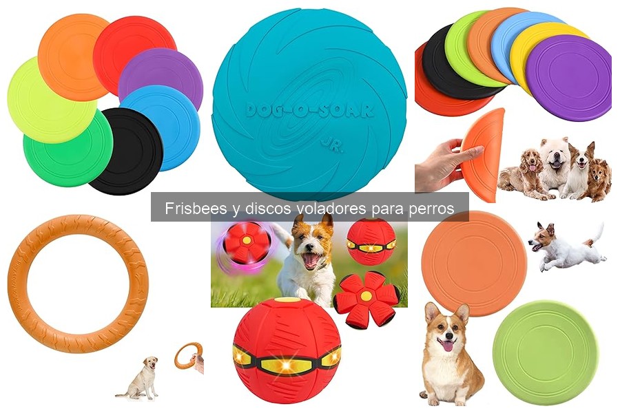 Cómo elegir el frisbee ideal para tu perro