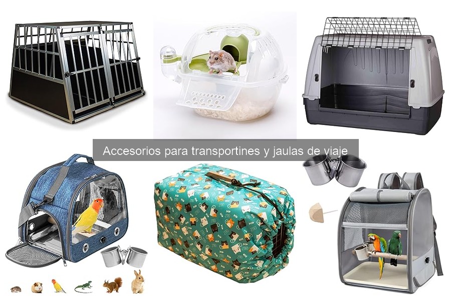 Cómo elegir el mejor accesorio para transportines de mascotas