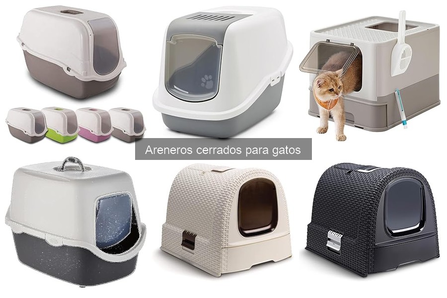 Cómo elegir el mejor arenero cerrado para tu gato
