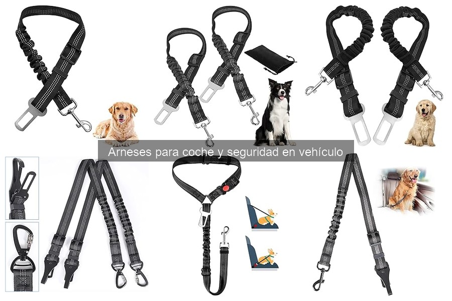 Cómo elegir el mejor arnés de coche para tu perro
