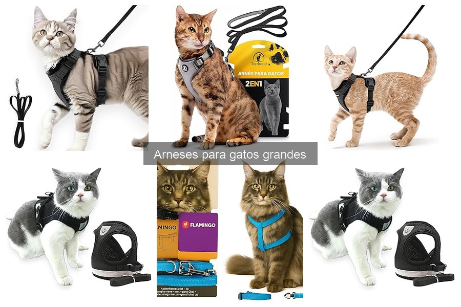 Cómo elegir el mejor arnés para gatos grandes | Guía práctica