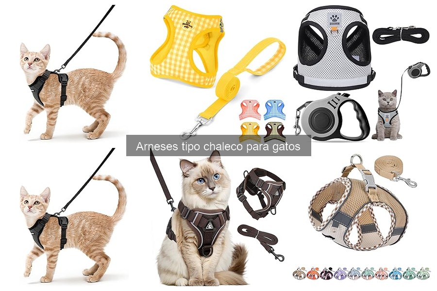 Cómo Elegir el Mejor Arnés Tipo Chaleco para tu Gato