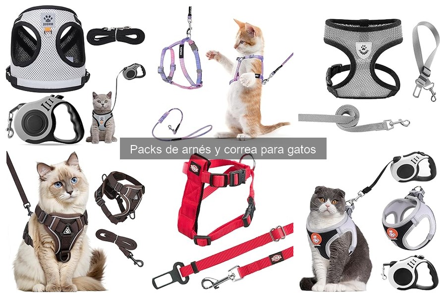 Cómo elegir el mejor arnés y correa para tu gato