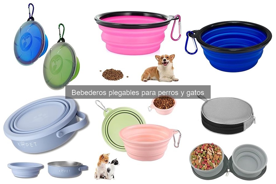 Cómo elegir el mejor bebedero plegable para perros y gatos