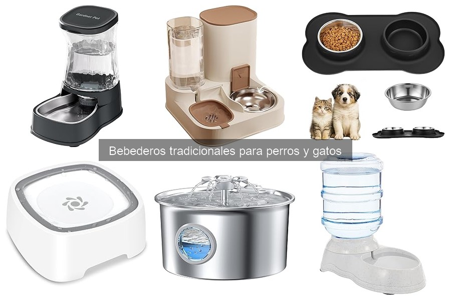 Cómo elegir el mejor bebedero tradicional para perros y gatos
