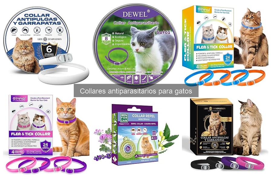 Cómo elegir el mejor collar antiparasitario para gatos