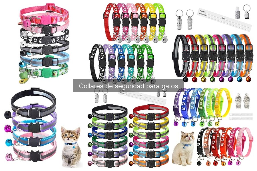 Cómo Elegir el Mejor Collar de Seguridad para tu Gato