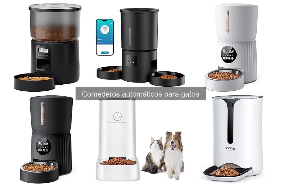 Cómo elegir el mejor comedero automático para gatos