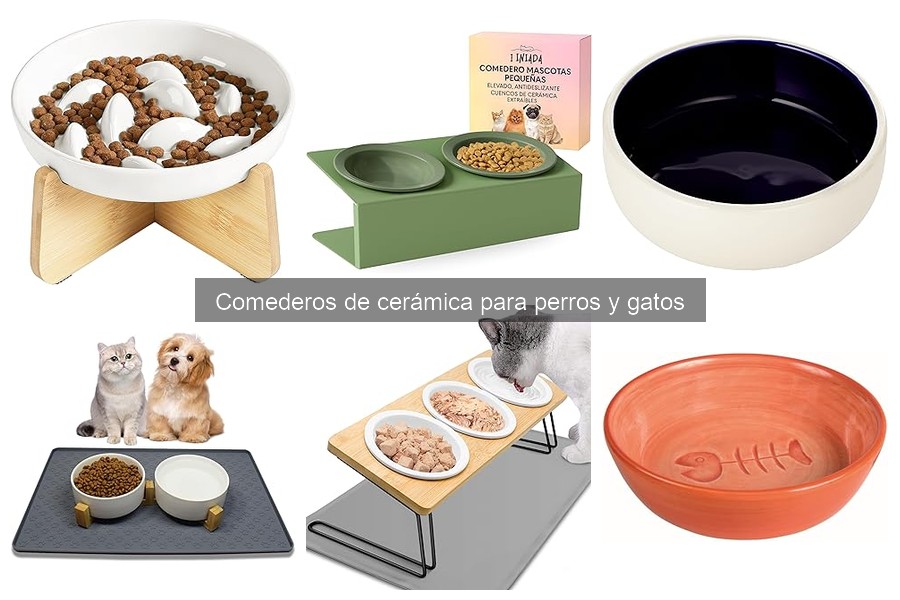 Cómo elegir el mejor comedero de cerámica para perros y gatos