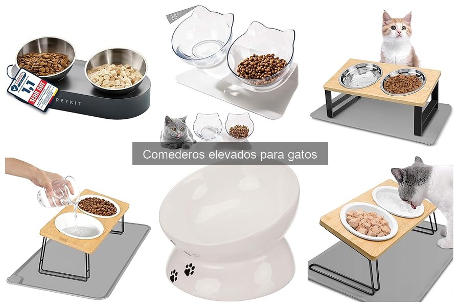 Cómo elegir el mejor comedero elevado para gatos