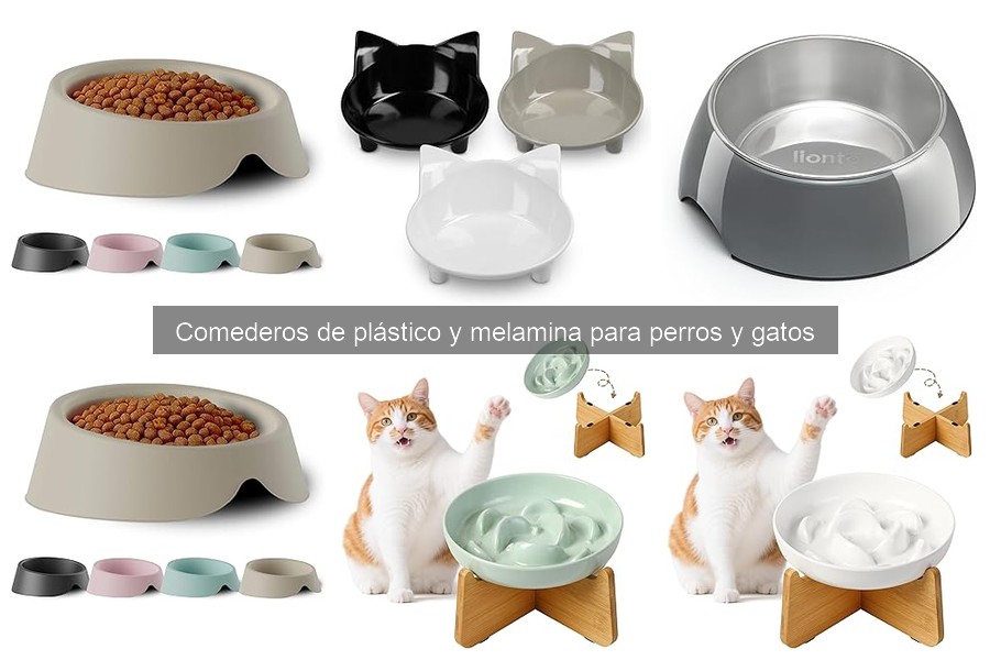 Cómo elegir el mejor comedero para perros y gatos