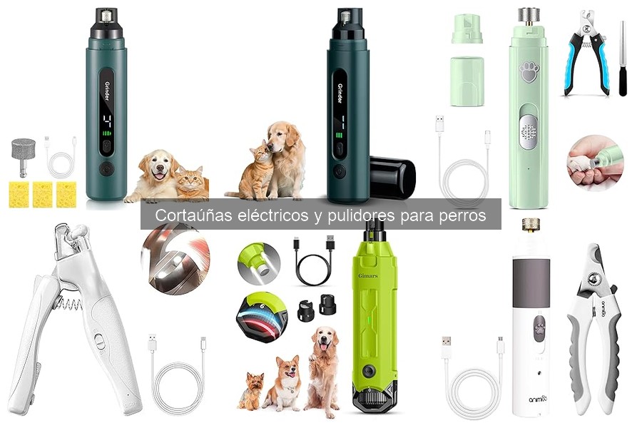 Cómo elegir el mejor cortaúñas eléctrico para perros