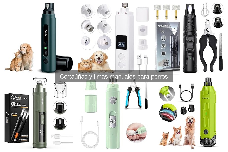 Cómo elegir el mejor cortaúñas para tu perro según su tamaño