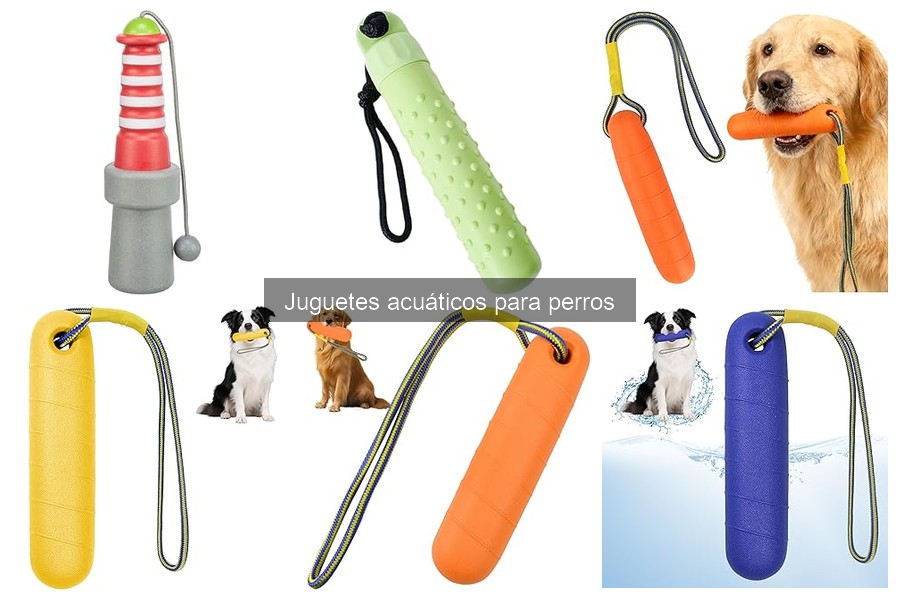 Cómo elegir el mejor juguete acuático para tu perro