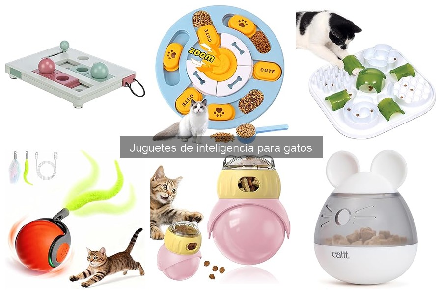 Cómo elegir el mejor juguete de inteligencia para gatos