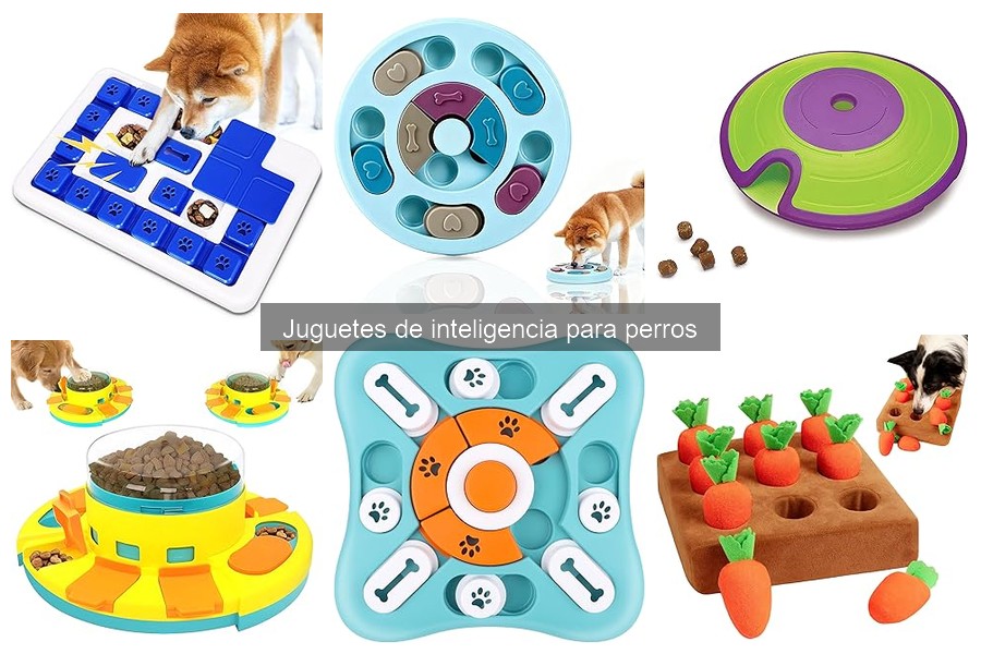 Cómo elegir el mejor juguete de inteligencia para perros