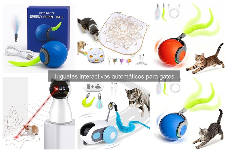 Cómo elegir el mejor juguete interactivo automático para gatos