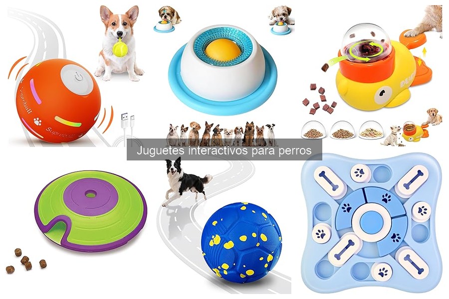 Cómo elegir el mejor juguete interactivo para tu perro