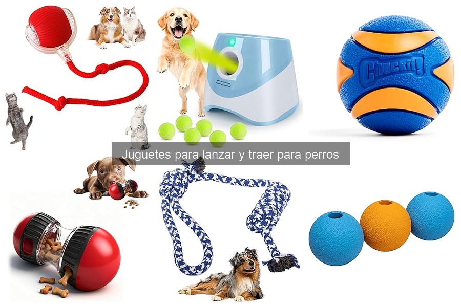 Cómo elegir el mejor juguete para lanzar y traer a tu perro