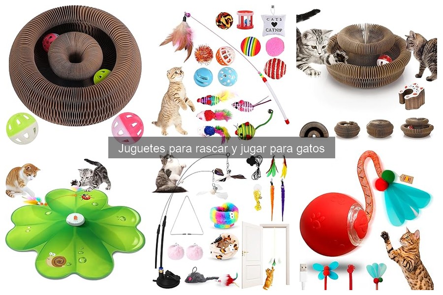 Cómo elegir el mejor juguete rascador para gatos