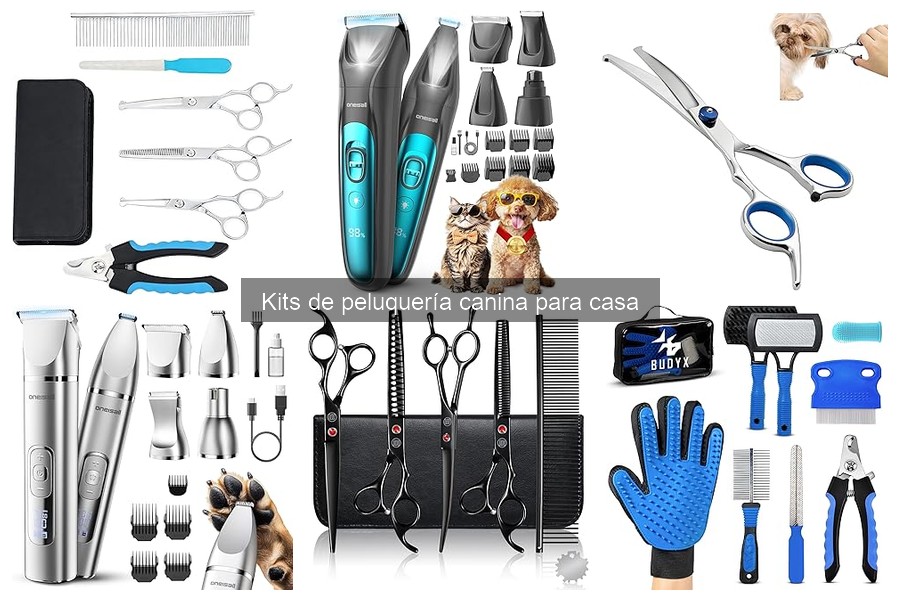 Cómo elegir el mejor kit de peluquería canina para tu perro