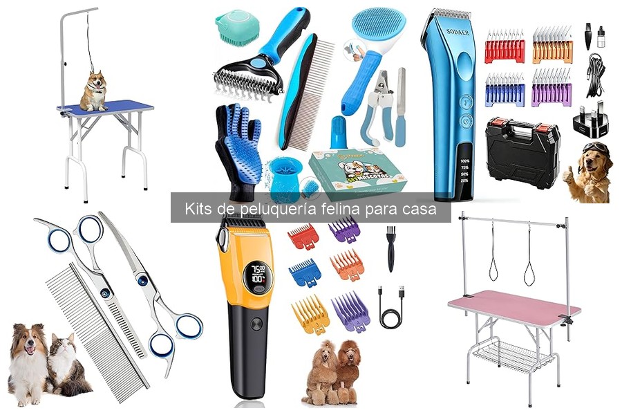 Cómo elegir el mejor kit de peluquería para gatos en casa