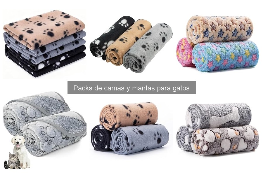 Cómo elegir el mejor pack de camas y mantas para gatos