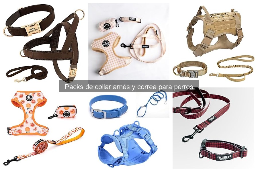 Cómo elegir el mejor pack de collar, arnés y correa para perros