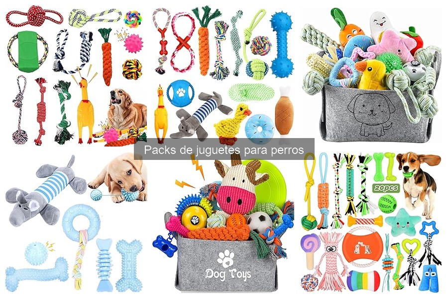 Cómo elegir el mejor pack de juguetes para perros
