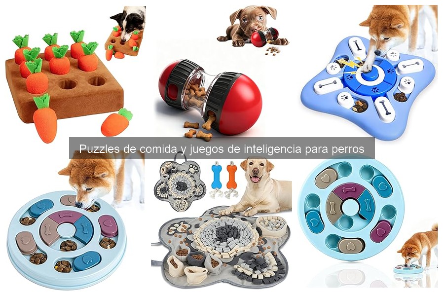 Cómo elegir el mejor puzzle de comida para perros