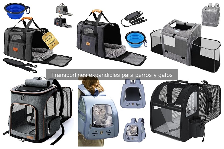 Cómo elegir el mejor transportín expandible para tu mascota