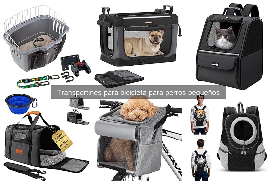 Cómo elegir el mejor transportín para bicicleta para perros pequeños