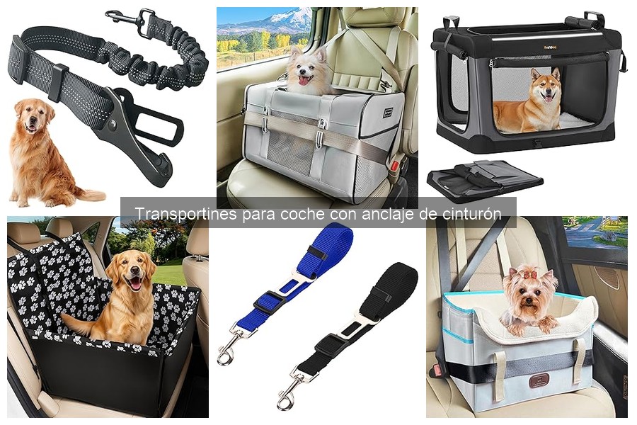 Cómo elegir el mejor transportín para coche con anclaje