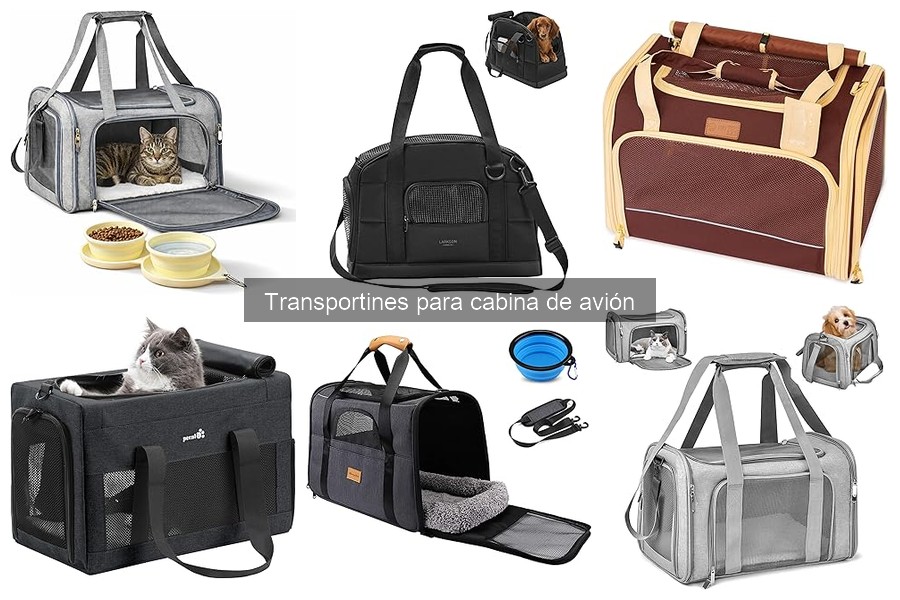 Cómo Elegir el Mejor Transportín para Viajar en Avión