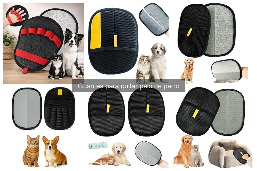 Cómo elegir el tamaño adecuado de guantes para quitar pelo de perro
