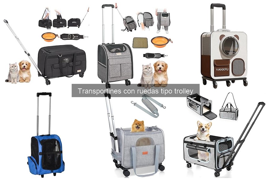 Cómo elegir el tamaño adecuado de transportín con ruedas