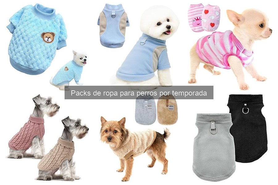Cómo elegir el tamaño de ropa para perros correctamente