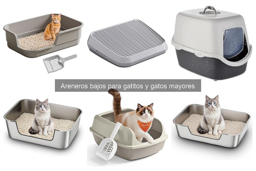 Cómo elegir el tamaño ideal de arenero bajo para tu gato