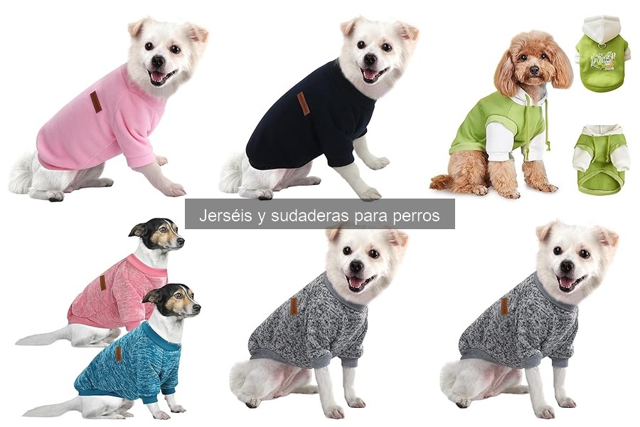 Cómo Elegir el Tamaño Perfecto de un Jersey para tu Perro
