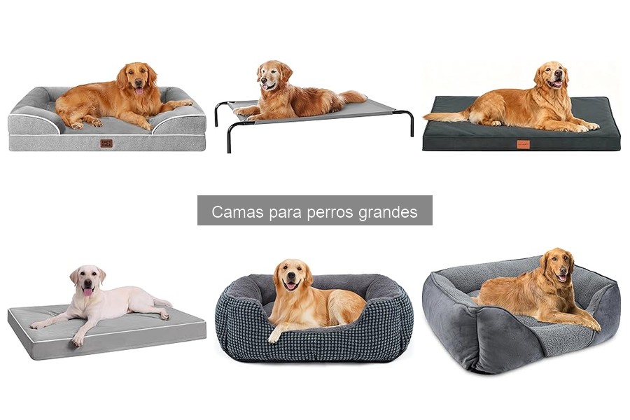 Cómo elegir la cama adecuada para tu perro grande