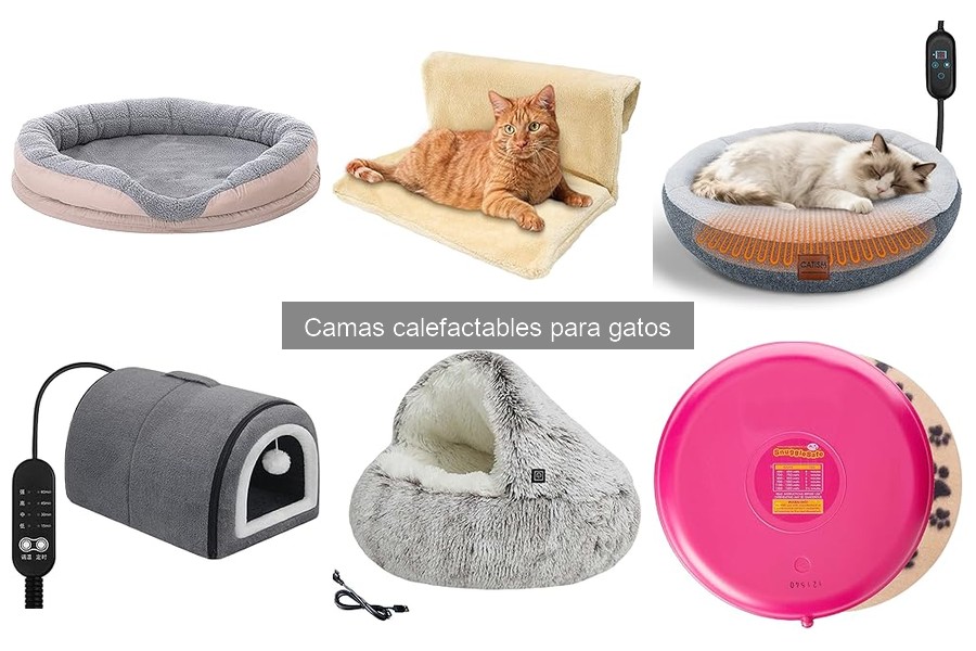 Cómo elegir la cama calefactable ideal para tu gato