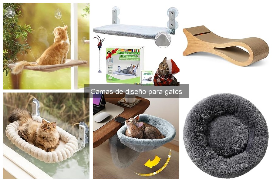 Cómo elegir la cama de diseño ideal para tu gato