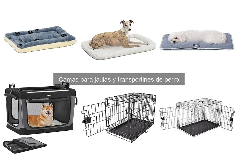 Cómo elegir la cama del transportín según el tamaño de tu perro