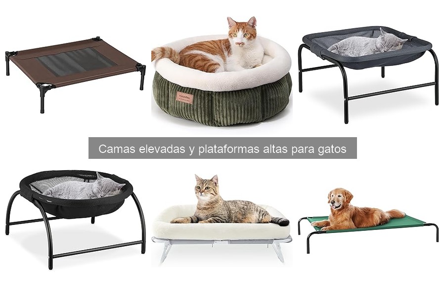 Cómo elegir la cama elevada adecuada para tu gato