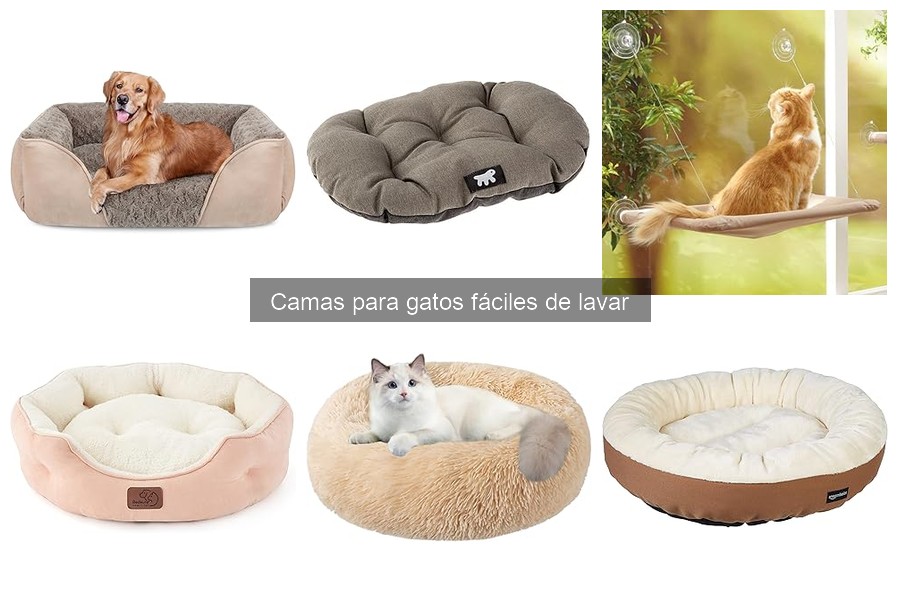 Cómo elegir la cama ideal para gatos con alergias
